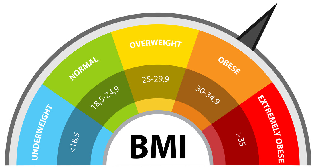 Understanding Obesity: Causes, Consequences, and Solutions - School of ...